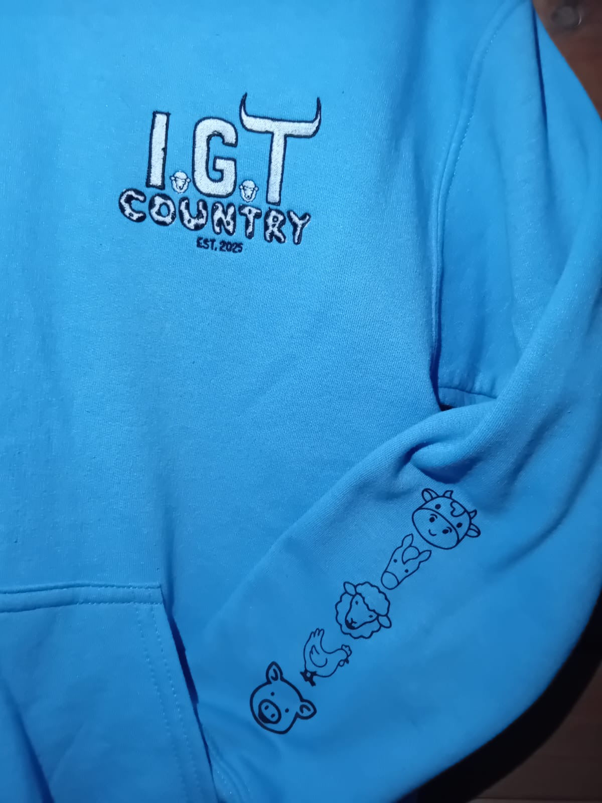 Children's Hoodie